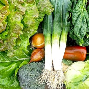 Cesta de verdura vital