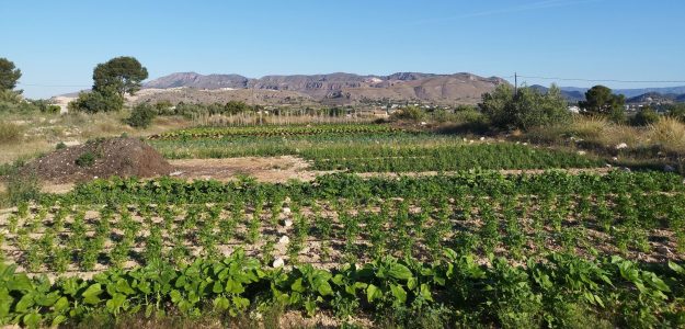 Vivir la tierra Vivir la tierra