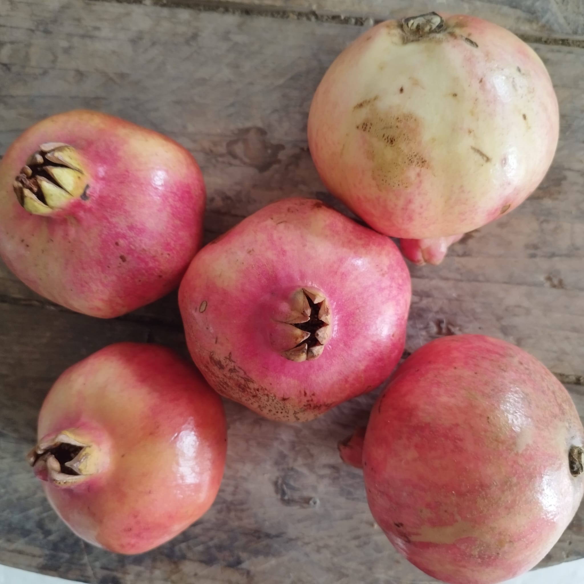 comprar granadas vivir la tierra